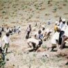 １９９２年植林地。裸地化したキリマンジャロの山麓で、植林に取り組むテマ村の村人と子供たち。（1992年）