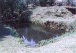 普段の養魚池。日中暖かい時は水面近くを泳ぐテラピアの姿を見ることができる。