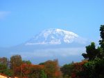 天気が良いと麓の町モシ（標高約900ｍ）からこのように美しいキリマンジャロ山が望めます。