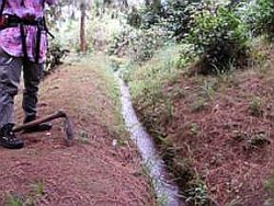 チャガ民族の伝統水路。この伝統水路は、村の至る所に張り巡らされており、森と村人との強い繋がりを持った村の財産である。