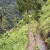 キリマンジャロ山の急峻な尾根を縫うようにして流れる伝統水路