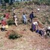 メルー山麓で始まった植林活動