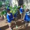植林地に苗木を運ぶのを手伝う子どもたち