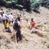 キリマンジャロ山の村人による植林作業