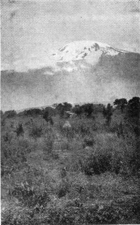 「Kilimanjaro and its people」の口絵で使われているキリマンジャロ山の写真
