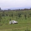 （写真１）キリマンジャロ山の植林地を巡回するTEACAの四輪駆動車(2014年)