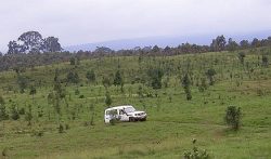 （写真１）キリマンジャロ山の植林地を巡回するTEACAの四輪駆動車(2014年)