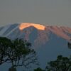 朝焼けのキリマンジャロ山