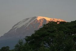 テマ村から望むキリマンジャロ山