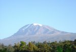 写真はテマ村から望むキリマンジャロ山
