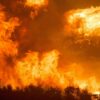 10月11日に発生したキリマンジャロ山の森林火災