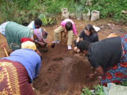 HAKIMAMAの苗畑で村人たちと一緒に育苗ポットへの土詰め作業中！